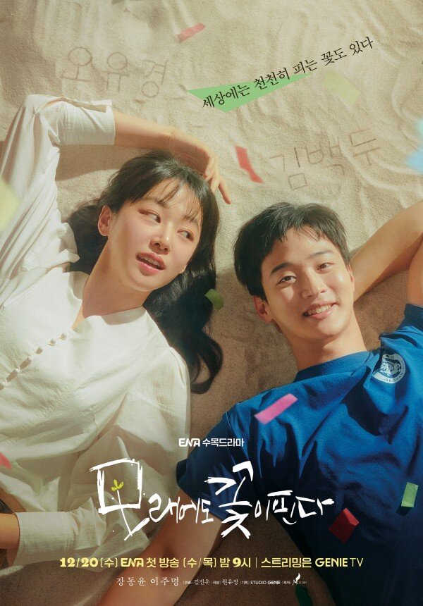 沙之花也有春天海报